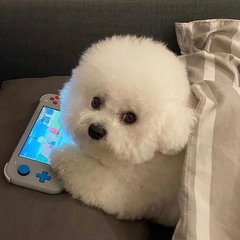 赛博朋克2077在线观看